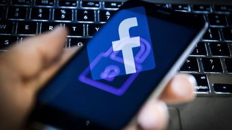 從教訓(xùn)到行動 Facebook收購網(wǎng)絡(luò)安全公司的戰(zhàn)略意圖與上海網(wǎng)絡(luò)信息安全軟件開發(fā)的機遇
